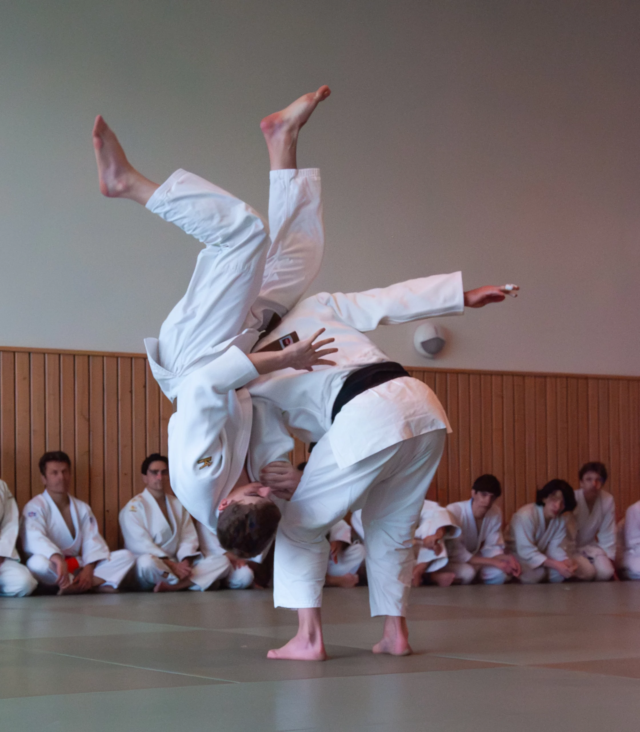 PHOTO-JUDO-13